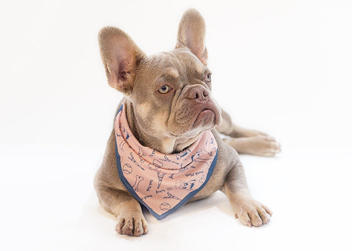 Chic Dog Bandana | Pet Pink Bandana | Pooch Mode