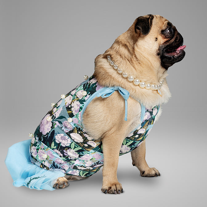 Pooch Mode Floral Printed Dress with Pearls