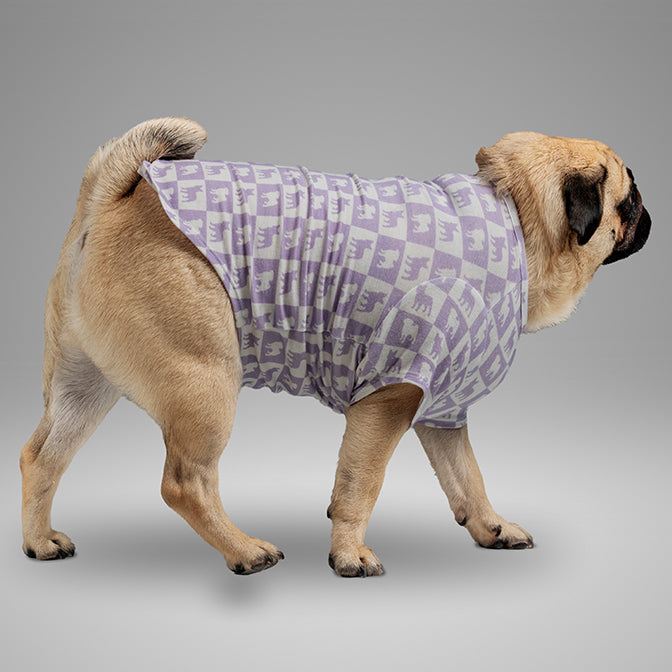 Pooch Mode Pug and Frenchie Tee (Purple)