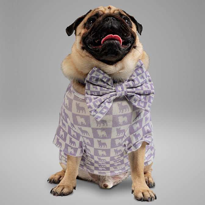 Pooch Mode Pug and Frenchie Neck Bow