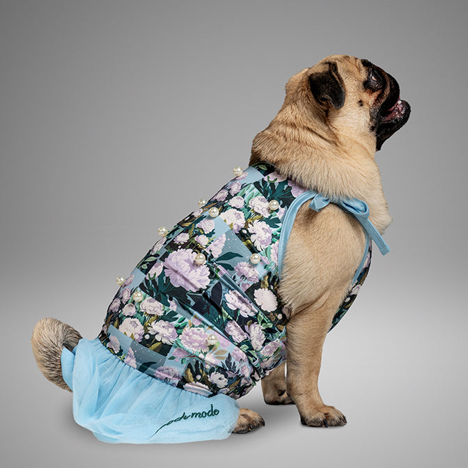 Pooch Mode Floral Printed Dress with Pearls