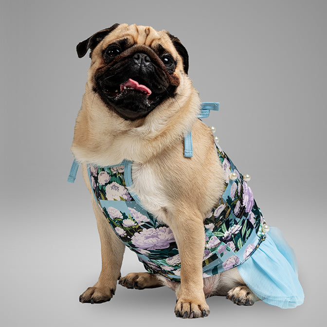 Pooch Mode Floral Printed Dress with Pearls