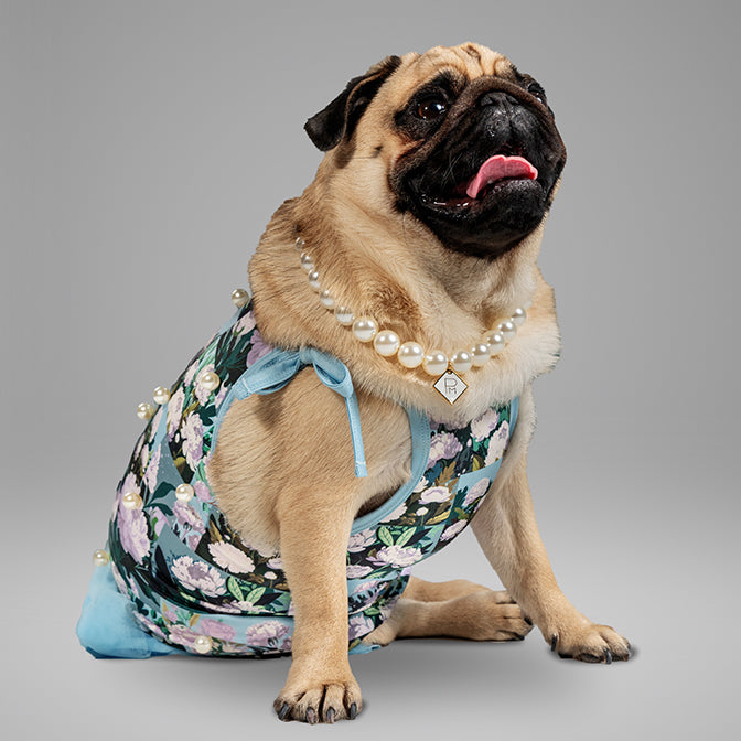 Pooch Mode Floral Printed Dress with Pearls