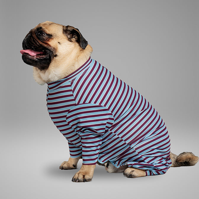 Pooch Mode Stripe Knit Onesie