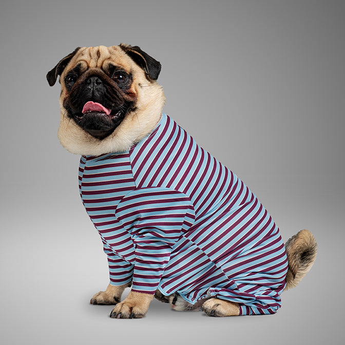 Pooch Mode Stripe Knit Onesie