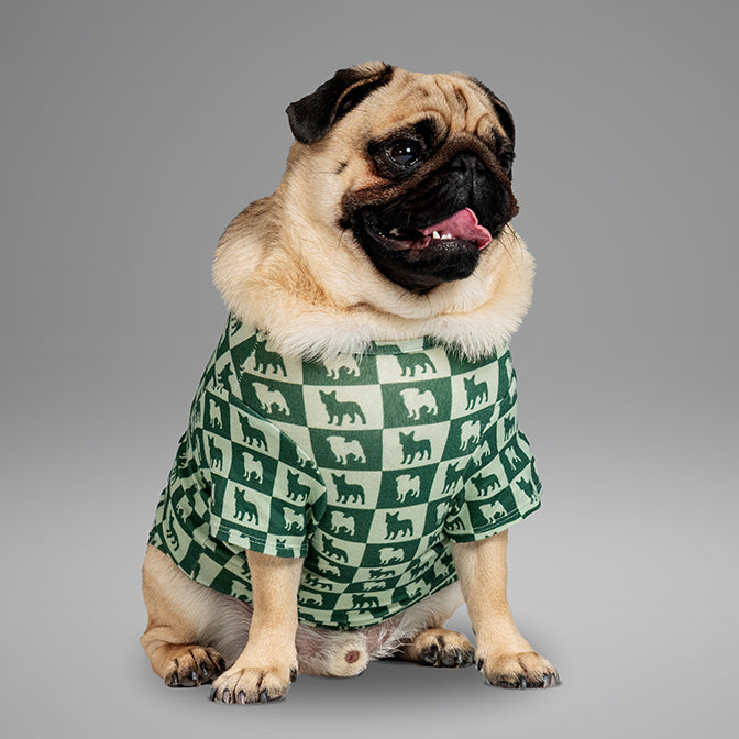 Pooch Mode Pug and Frenchie Tee (Green)