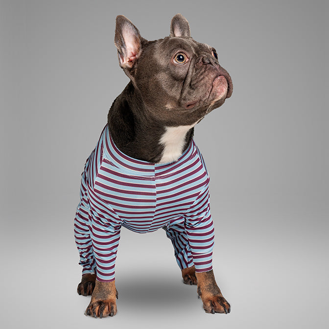 Pooch Mode Stripe Knit Onesie