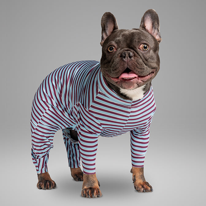 Pooch Mode Stripe Knit Onesie