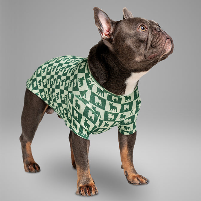 Pooch Mode Pug and Frenchie Tee (Green)