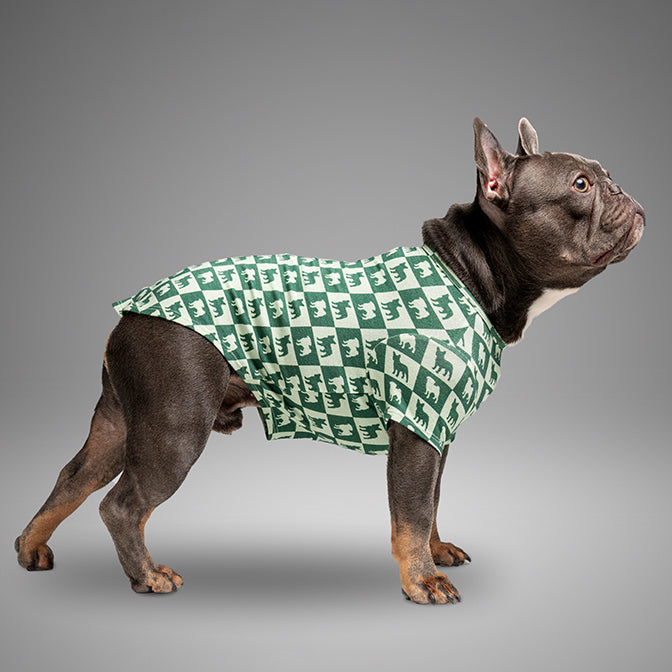 Pooch Mode Pug and Frenchie Tee (Green)