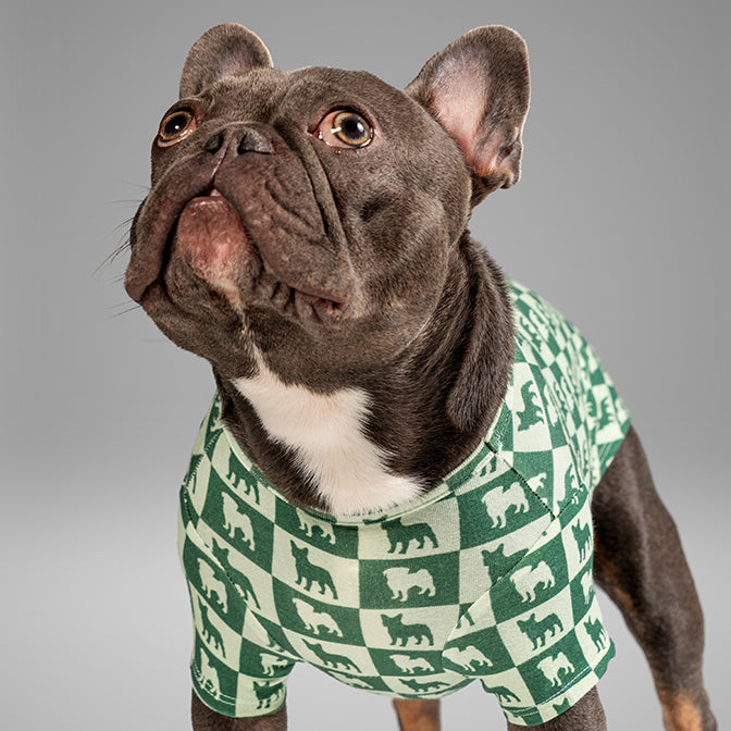 Pooch Mode Pug and Frenchie Tee (Green)