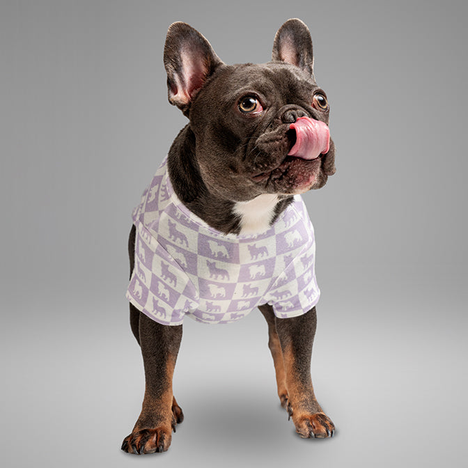 Pooch Mode Pug and Frenchie Tee (Purple)