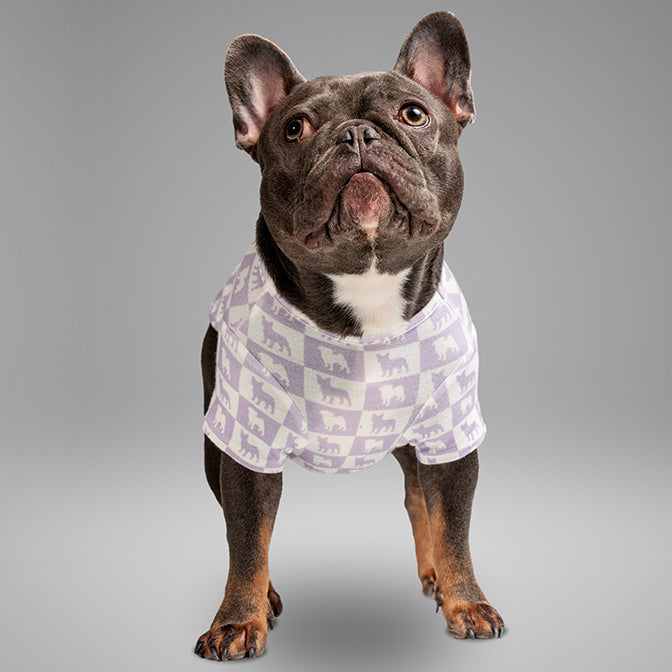 Pooch Mode Pug and Frenchie Tee (Purple)