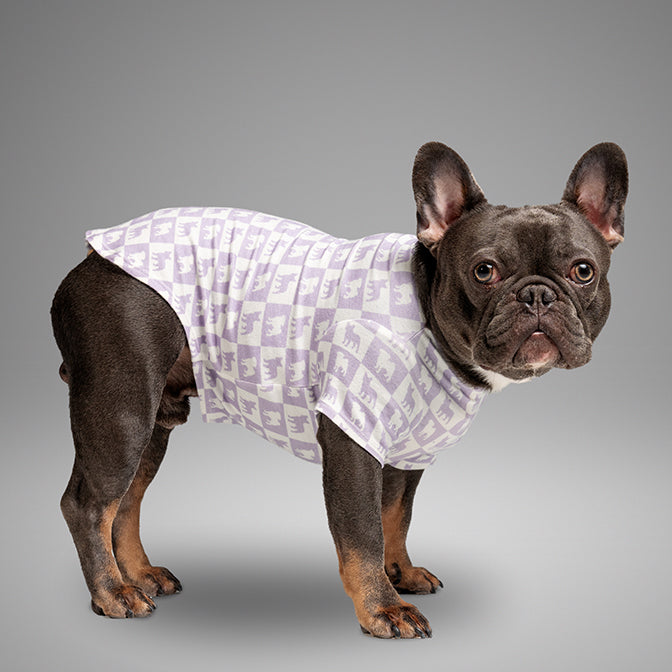 Pooch Mode Pug and Frenchie Tee (Purple)