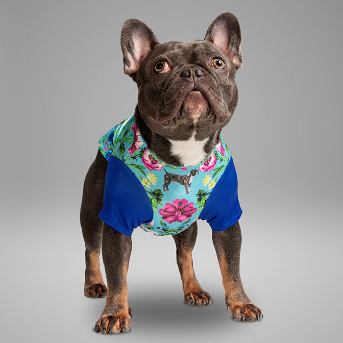 Pooch Mode Floral Color Block Tee