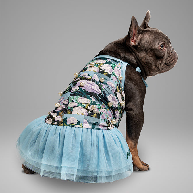 Pooch Mode Floral Printed Dress with Pearls