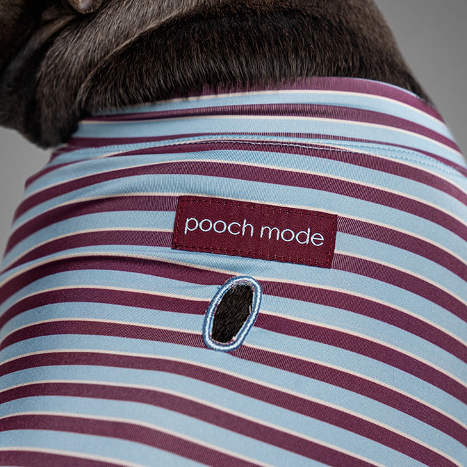 Pooch Mode Stripe Knit Onesie