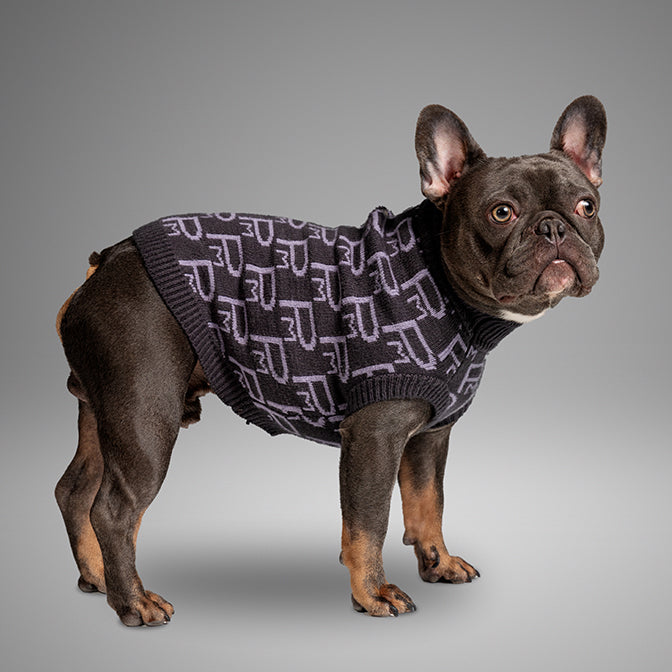 Pooch Mode Monogram Turtleneck Sweater