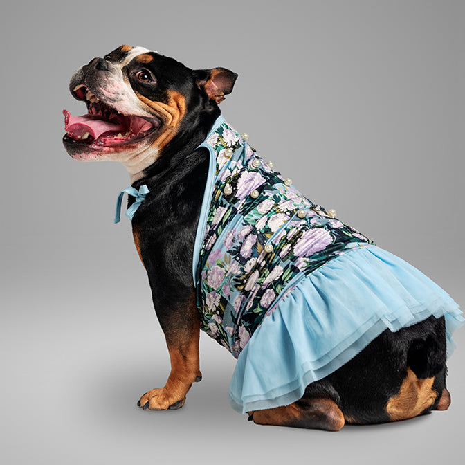 Pooch Mode Floral Printed Dress with Pearls