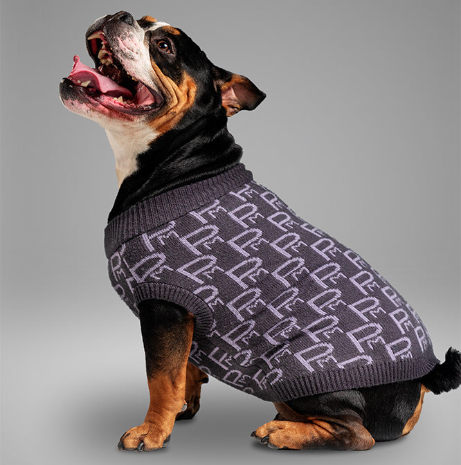 Pooch Mode Monogram Turtleneck Sweater