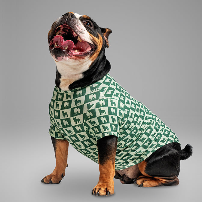 Pooch Mode Pug and Frenchie Tee (Green)