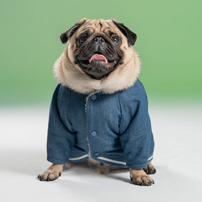 Pooch Mode Reversible Varsity Jacket