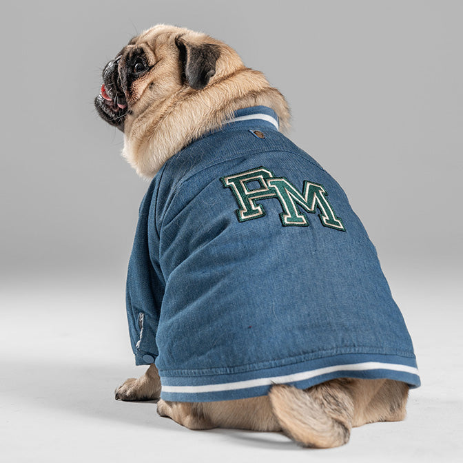 Pooch Mode Reversible Varsity Jacket