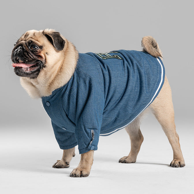 Pooch Mode Reversible Varsity Jacket