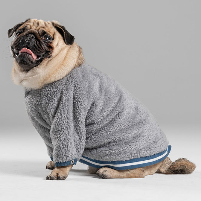 Pooch Mode Reversible Varsity Jacket