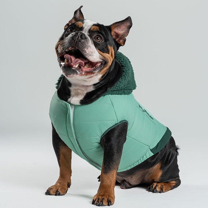 Pooch Mode Puffer Vest