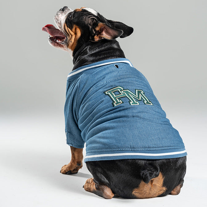 Pooch Mode Reversible Varsity Jacket