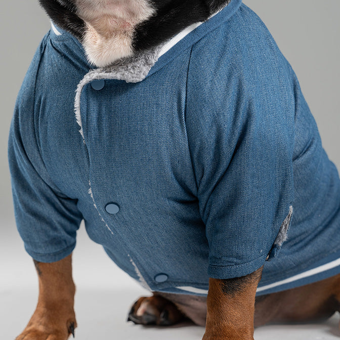 Pooch Mode Reversible Varsity Jacket