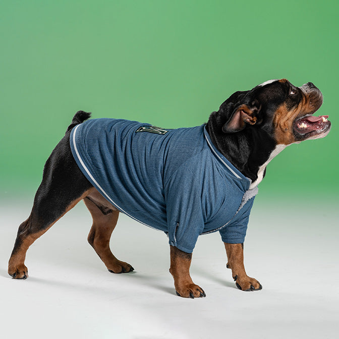 Pooch Mode Reversible Varsity Jacket