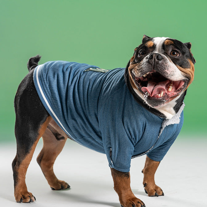 Pooch Mode Reversible Varsity Jacket